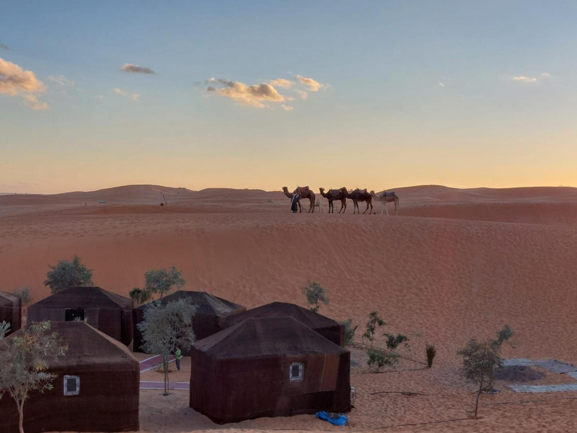 Hammadi Desert Camp Merzouga Eksteriør bilde