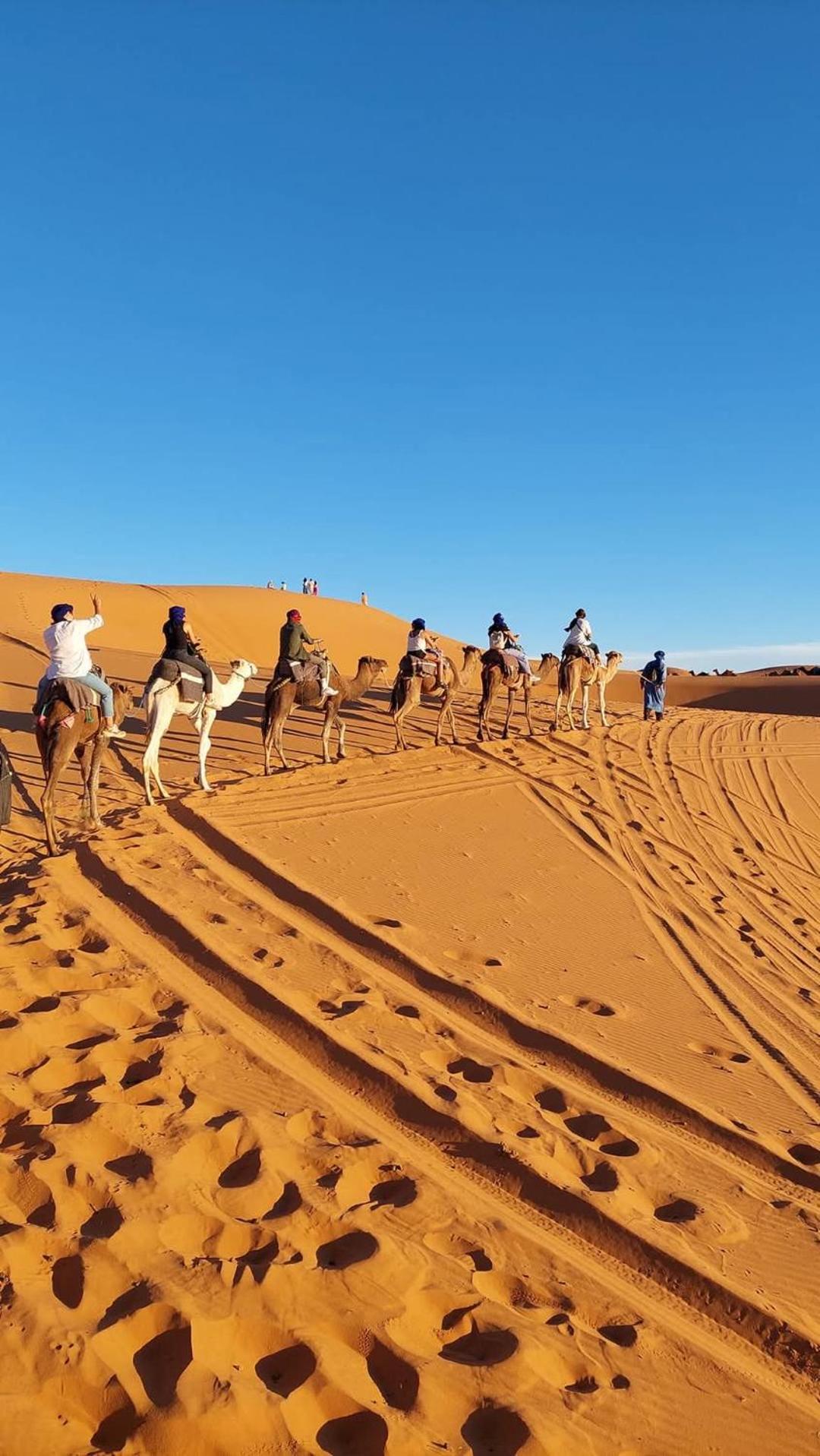 Hammadi Desert Camp Merzouga Eksteriør bilde